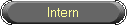 Intern